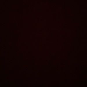 Meet your Posher, Ray